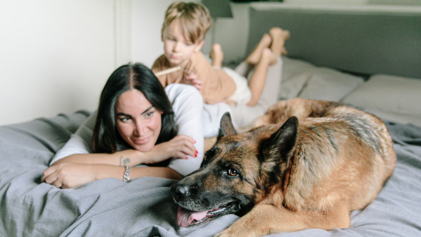 Planning for Pets